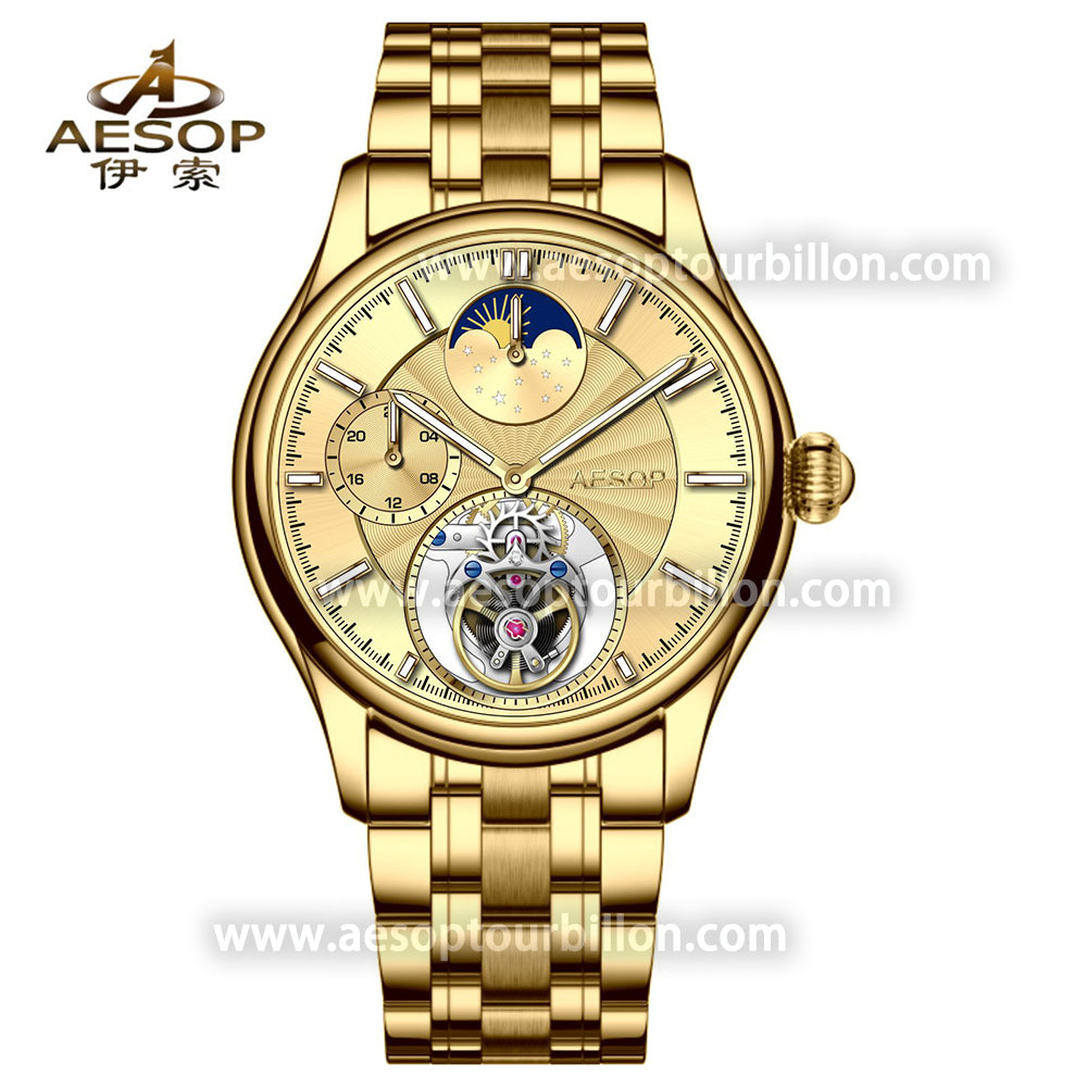 AESOP GMT Day and Night Display Multifunction Tourbillon Watch 7118