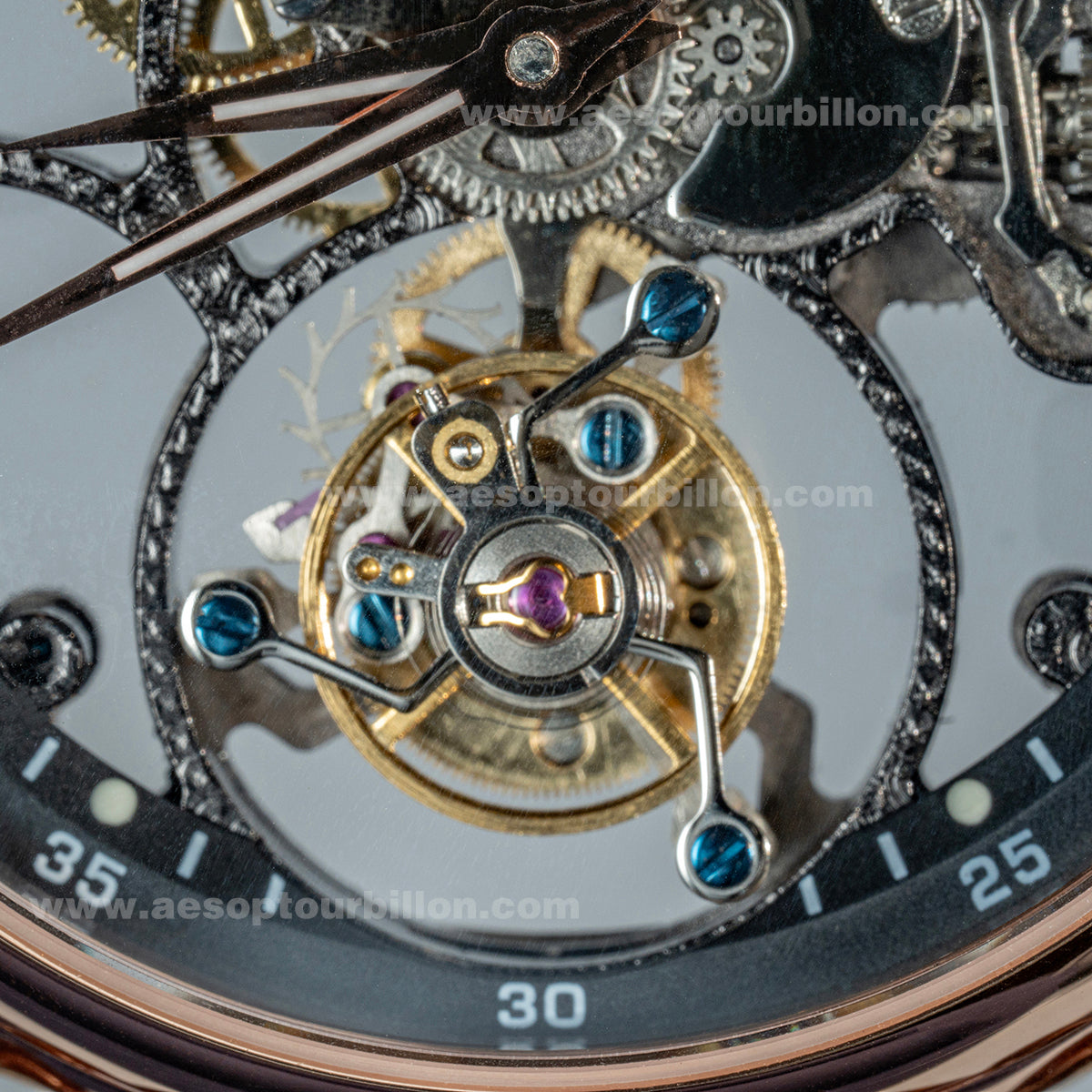 Aesop Hollow Skeleton Tourbillon Men Watch Peacock Movement Luxury Men Wristwatch 7031
