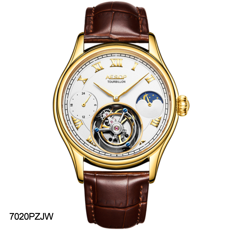 AESOP GMT Multifunction 100% Original Tourbillon 7020 watch