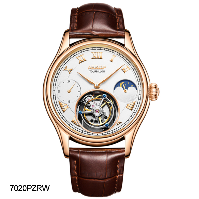 AESOP GMT Multifunction 100% Original Tourbillon 7020 watch