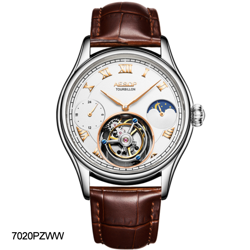 AESOP GMT Multifunction 100% Original Tourbillon 7020 watch