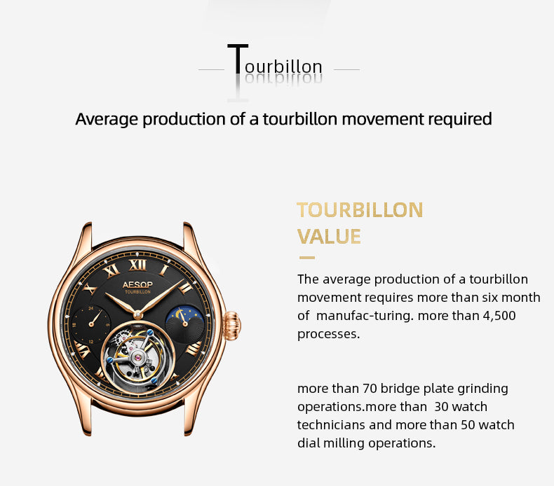 AESOP GMT Multifunction 100% Original Tourbillon 7020 watch