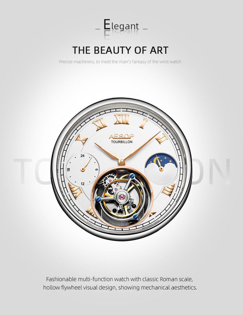 AESOP GMT Multifunction 100% Original Tourbillon 7020 watch