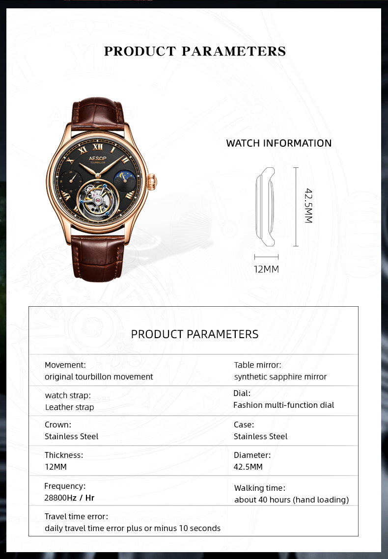AESOP GMT Multifunction 100% Original Tourbillon 7020 watch