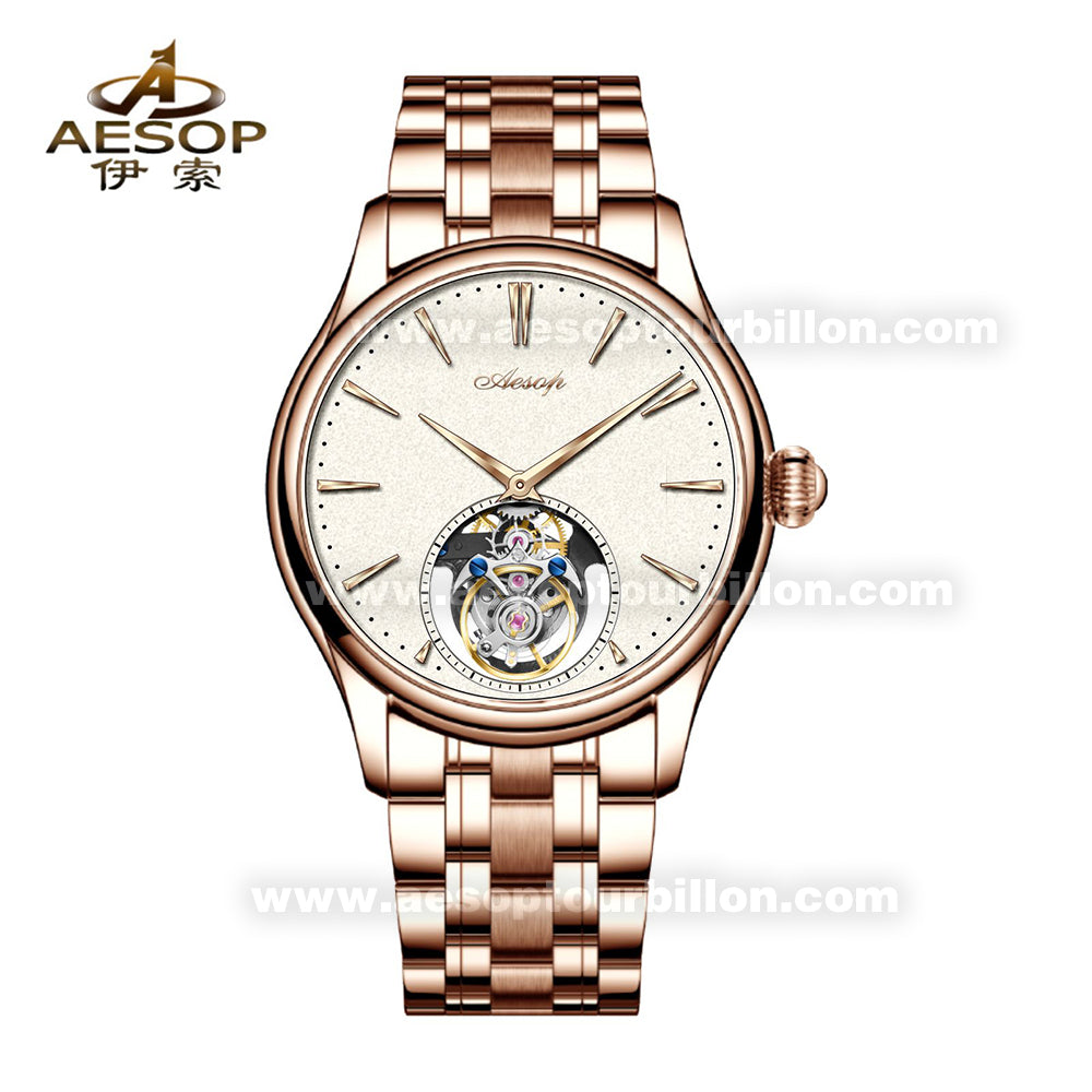 Aesop Classic Tourbillon Men Watch Sapphire Crystal Luxury Waterproof Wristwatch 7106