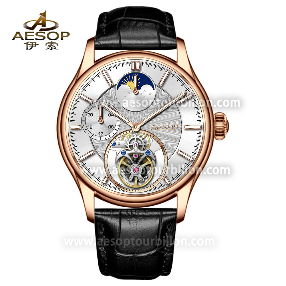 AESOP GMT Day and Night Display Multifunction Tourbillon Watch 7118