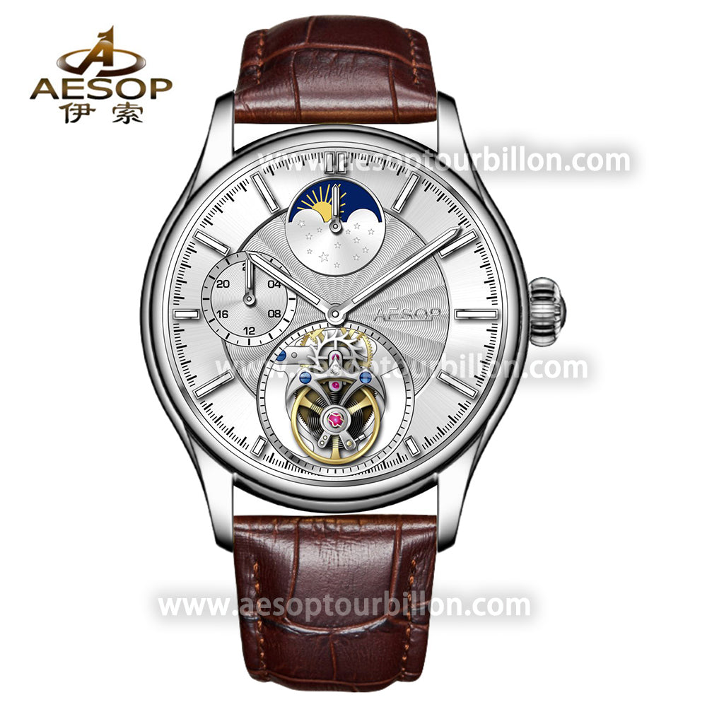 AESOP GMT Day and Night Display Multifunction Tourbillon Watch 7118