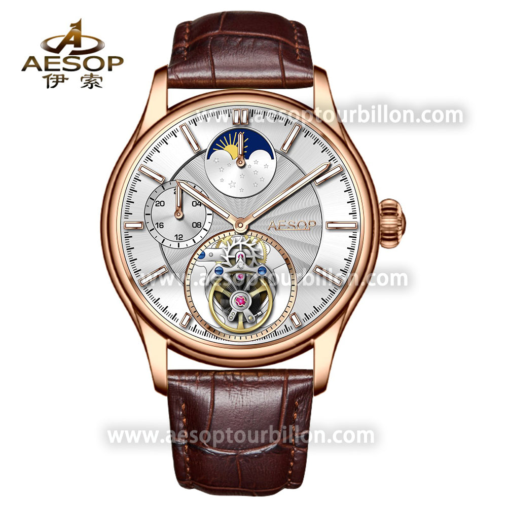 AESOP GMT Day and Night Display Multifunction Tourbillon Watch 7118