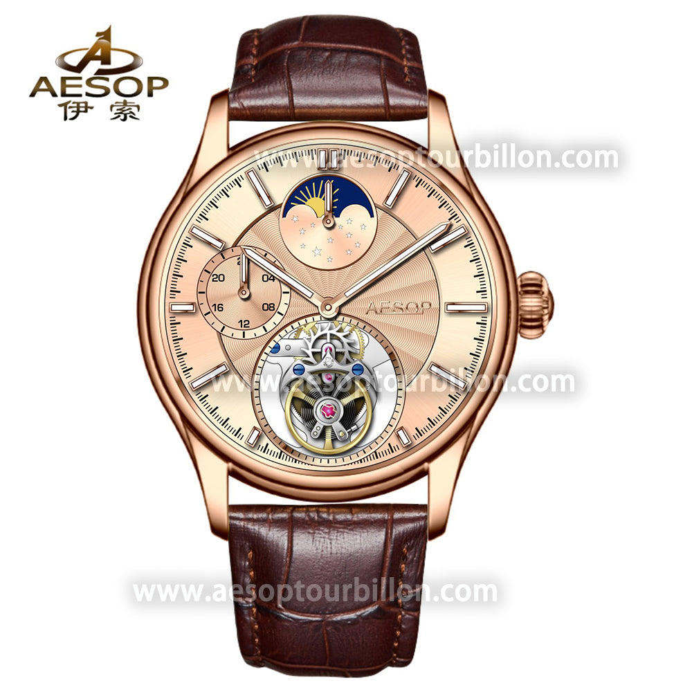 AESOP GMT Day and Night Display Multifunction Tourbillon Watch 7118