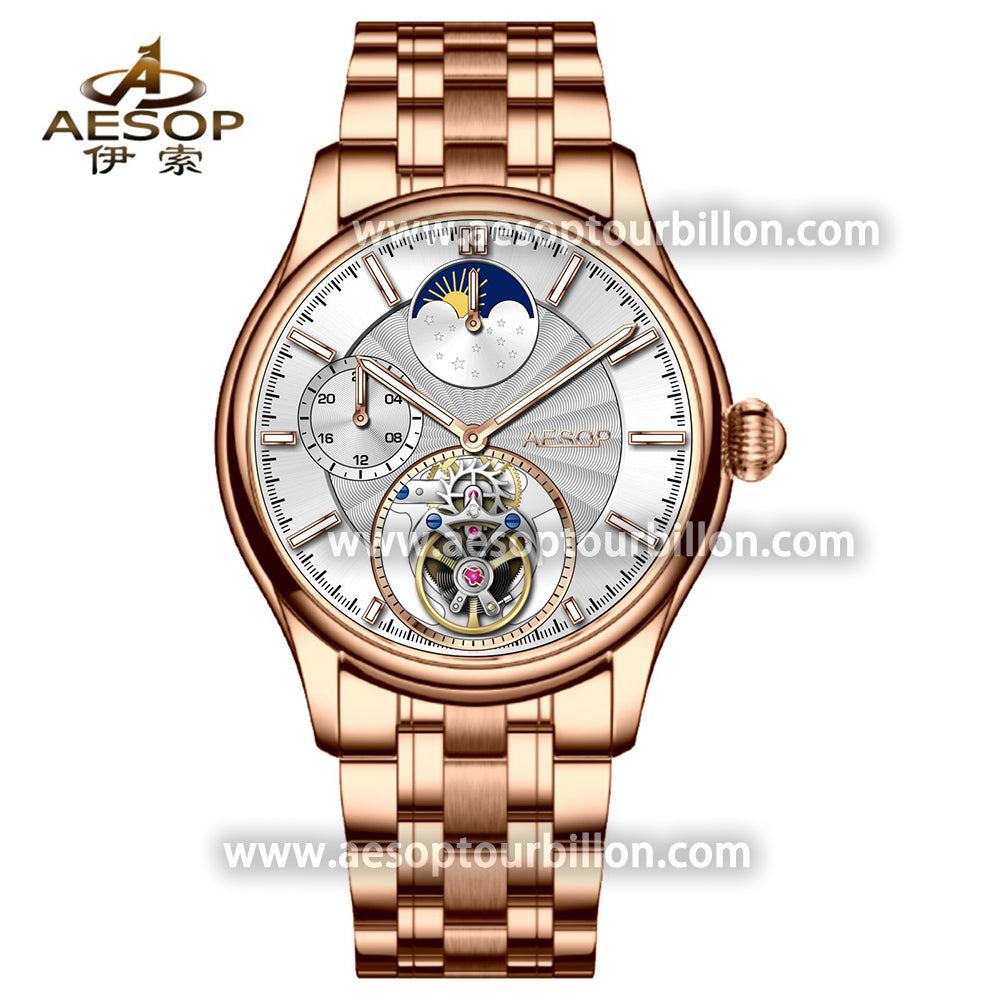 AESOP GMT Day and Night Display Multifunction Tourbillon Watch 7118