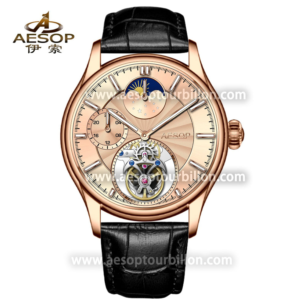 AESOP GMT Day and Night Display Multifunction Tourbillon Watch 7118
