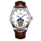 AESOP Roman Tourbillon Mechanical Men Watch Sapphire Crystal Waterproof 7061