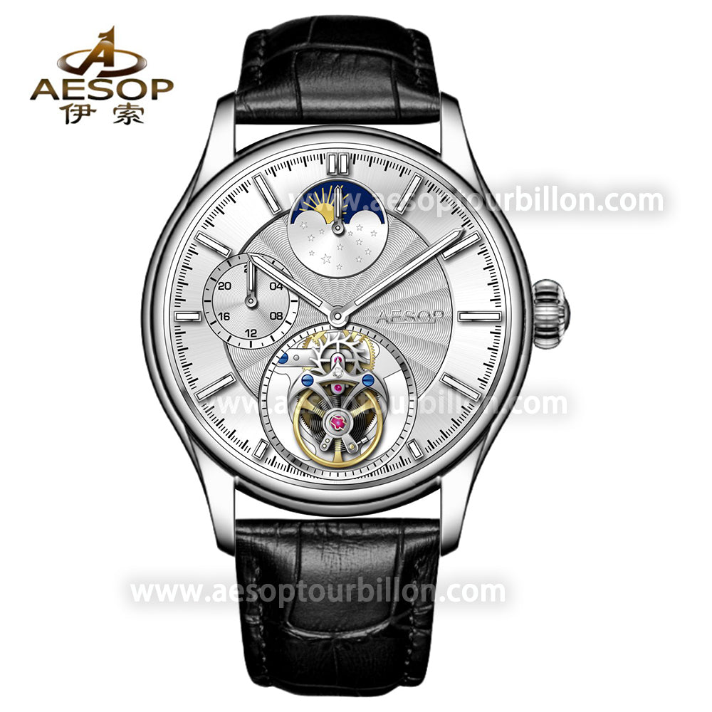 AESOP GMT Day and Night Display Multifunction Tourbillon Watch 7118