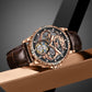 Aesop 7087 Dragon Tourbillon Mechanical Watch Waterproof 30m Fashion Men's Watch