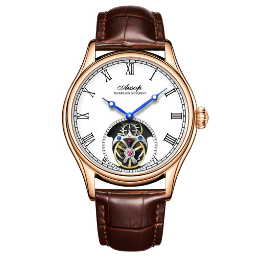 AESOP Roman Tourbillon Mechanical Men Watch Sapphire Crystal Waterproof 7061