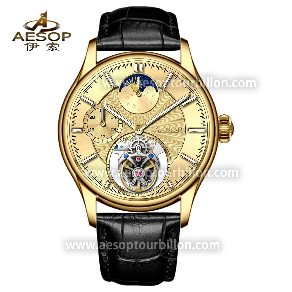 AESOP GMT Day and Night Display Multifunction Tourbillon Watch 7118