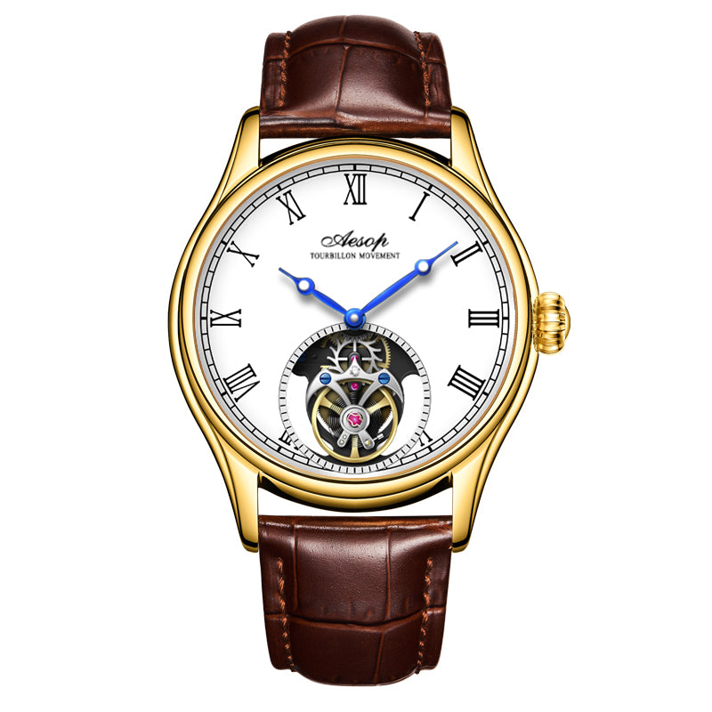 AESOP Roman Tourbillon Mechanical Men Watch Sapphire Crystal Waterproof 7061