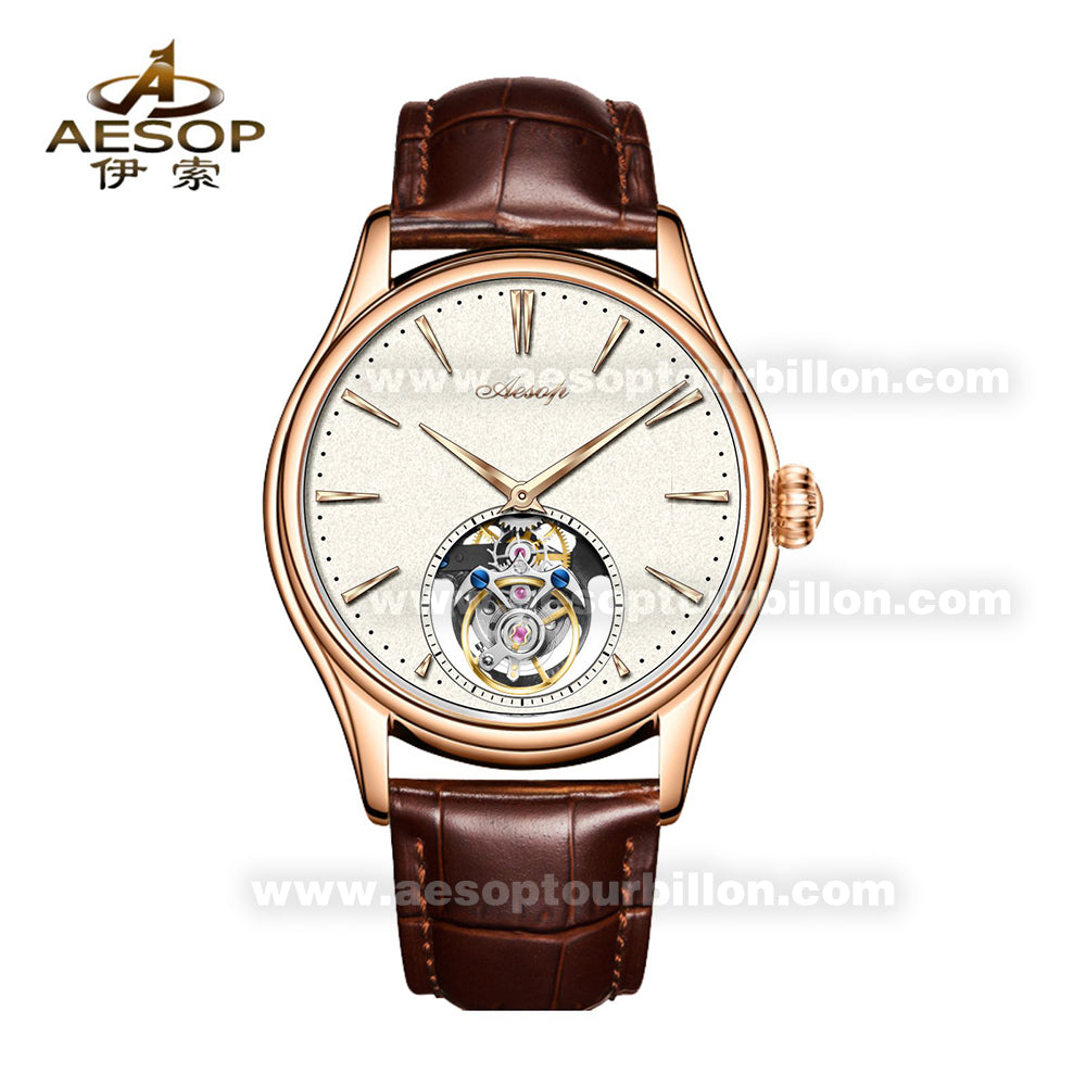 Aesop Classic Tourbillon Men Watch Sapphire Crystal Luxury Waterproof Wristwatch 7106