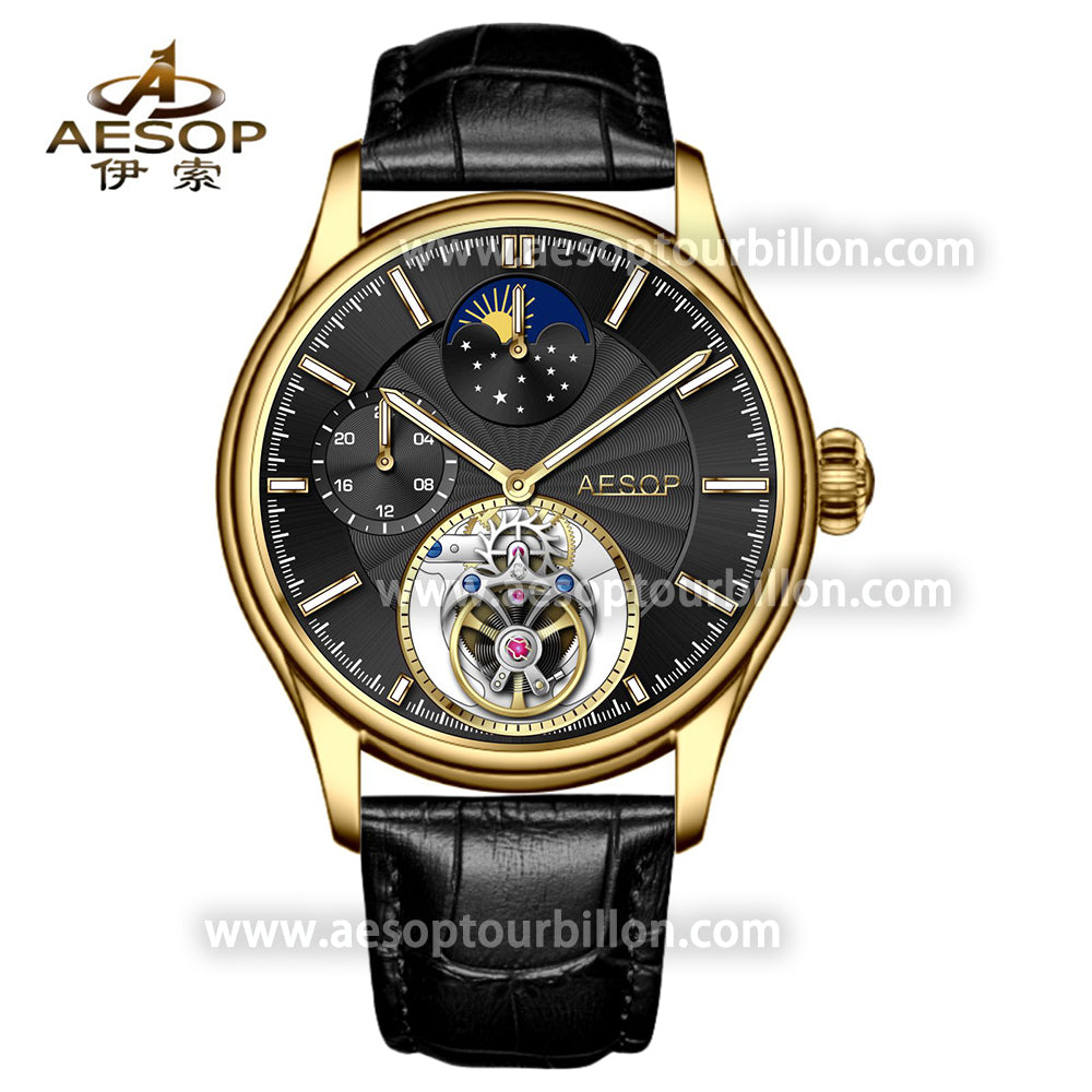 AESOP GMT Day and Night Display Multifunction Tourbillon Watch 7118