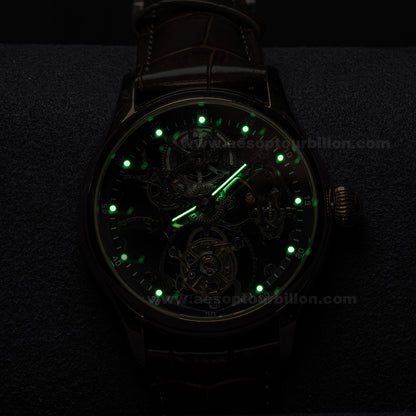 Aesop Hollow Skeleton Tourbillon Men Watch Peacock Movement Luxury Men Wristwatch 7031