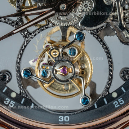 Aesop Hollow Skeleton Tourbillon Men Watch Peacock Movement Luxury Men Wristwatch 7031