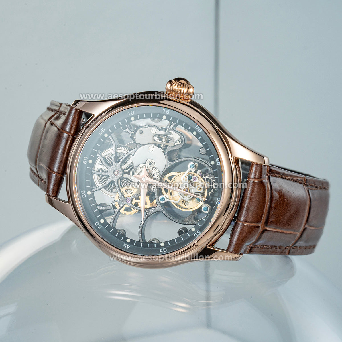 Aesop Hollow Skeleton Tourbillon Men Watch Dial Sapphire Crystal Luminous Waterproof Luxury Men Wristwatch 7031