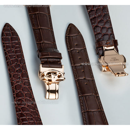 Aesop Hollow Skeleton Tourbillon Men Watch Peacock Movement Luxury Men Wristwatch 7031